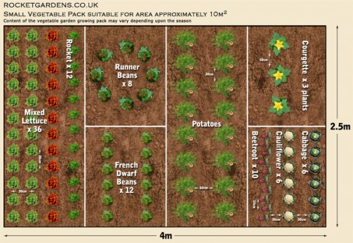 Garden vegetable layout ideas gardens designs plans kitchen edible backyard beautiful planting spacing secrets raised gardening foot square sun invariably